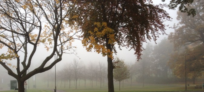 Nearherewayaway misty trees