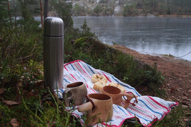 Picnic in the forest in winter